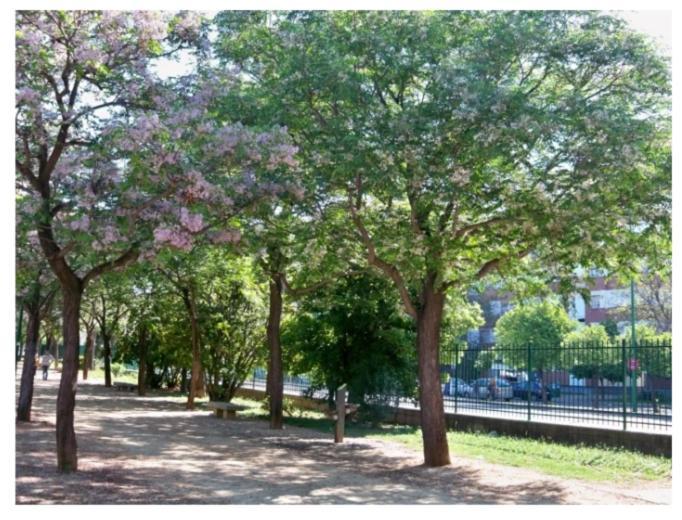Sevillapark - Seville — Fotos 2